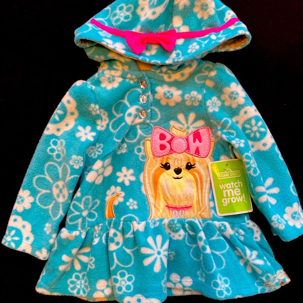 Sesame Street character hoodie